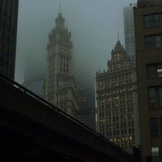 fog covers the city skyline with tall buildings