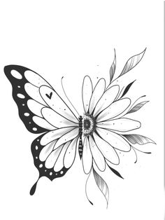 a black and white drawing of a butterfly