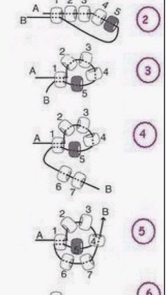 the diagram shows how many different parts are connected to each other