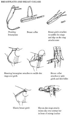 the instructions for how to use an electric toothbrush and bristles on your teeth