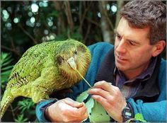 a man holding a green bird in his hand