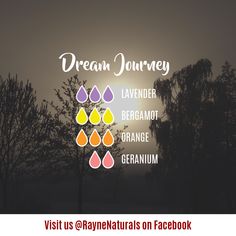 Oil Spells, Eo Blends, Doterra Blends, Diffuser Oils, Wellness Room