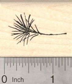 a rubber stamp with a pine tree branch on it's side and measuring tape