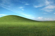 a grassy hill with yellow flowers in the foreground and blue sky above it on a sunny day