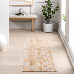 a living room with white walls and wood flooring, a plant in the corner