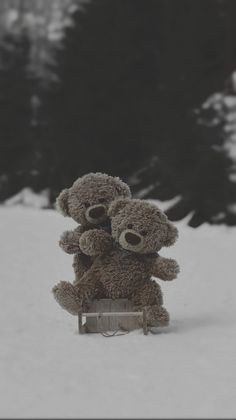 two teddy bears sitting on top of a sled in the snow with trees behind them