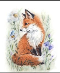 a drawing of a fox sitting in the grass with daisies and butterflies around it