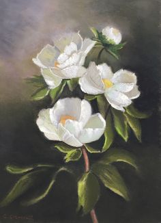 a painting of three white flowers with green leaves