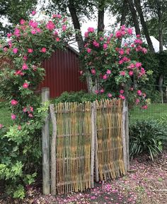 a wooden fence with pink flowers growing over it