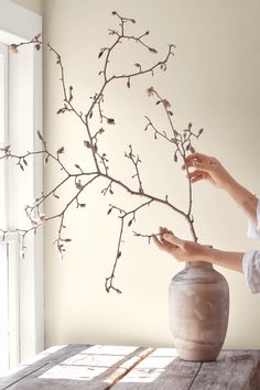 a woman arranging branches in a vase on a table