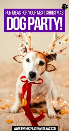 Fun Ideas for Your Next Christmas Dog Party!