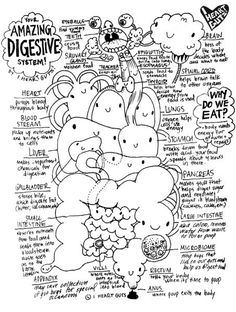 a black and white drawing with words about different types of digestive things on it