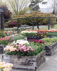 several wooden boxes filled with different colored flowers in a garden area next to a fence