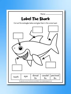 the label the shark worksheet