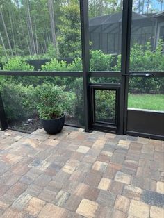 a potted plant sitting on top of a brick floor next to a glass wall