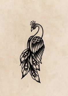 a black and white drawing of a bird with feathers on it's back side