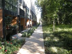 the sidewalk is lined with plants and trees