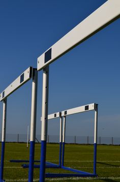 several blue and white poles in the grass