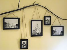 four black and white photos hanging from a branch on a wall with pictures hung in them