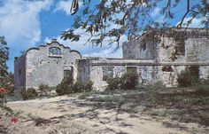 an old abandoned building sitting on top of a dirt road next to trees and flowers