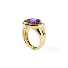 Embrace color with this Amethyst Emerald Cut and Blue Sapphire Signet Ring. A classic and timeless style is re-imagined with bold gold and rich gemstones for an eye-catching ring! Available in 14K Yellow Gold Amethyst weight = 1.4 carats Sapphire weight = 0.24 carats Gemstones are natural, therefore colors may vary Elegant Sapphire Signet Ring With Gemstone, Elegant Sapphire Gemstone Signet Ring, Elegant Sapphire Signet Ring, Elegant Tanzanite Rings With Gemstone Accents, Heirloom Tanzanite Rings In Yellow Gold, Heirloom Tanzanite Yellow Gold Rings, Elegant Yellow Gold Amethyst Open Ring, Yellow Gold Tanzanite Ring With Polished Finish, Yellow Gold Tanzanite Rings