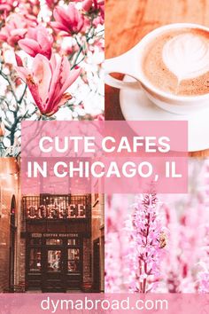 the words cute cafes in chicago, illinois on top of photos of pink flowers