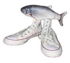 two fish that are sitting on top of each other's shoes in front of a white background