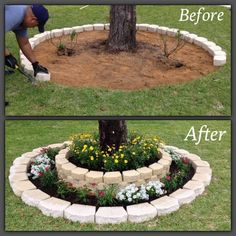 the before and after photo shows how to make a flower bed around a tree