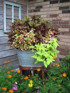 two buckets filled with plants sitting on top of a wooden floor next to a brick building