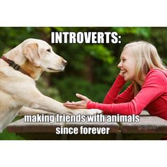 Introverts: making friends with animals since forever. Velcí Psi, Dani California, Behind Blue Eyes, Infp Personality, Myers Briggs Personalities