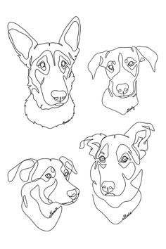 four dogs are shown in black and white