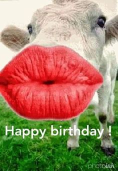 a cow with its tongue out and the words happy birthday written on it