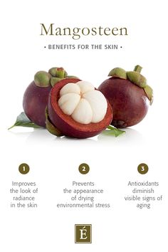 mangosteen benefits for the skin info graphic on white background with text describing description