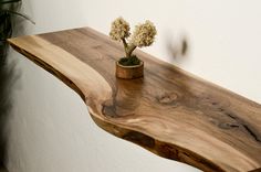 a wooden shelf with two small plants in the center on it's edge and a white wall behind it