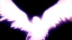 a white bird with wings spread out in the dark