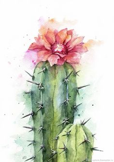 a watercolor painting of a cactus with a pink flower