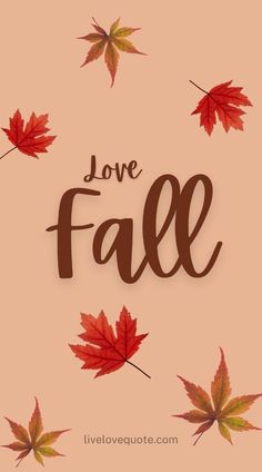 fall leaves with the words love fall