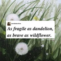 an image of flowers in the grass with a quote on it that reads as fragile as dandelion, as brave as wildflower