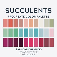 the color palette for succulents