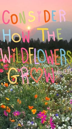 a field full of flowers with the words consider how the wildflowers grow