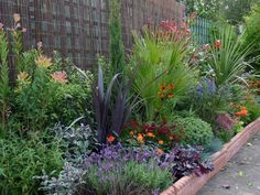 a garden filled with lots of different types of plants