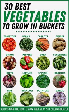 the 30 best vegetables to grow in buckets poster is shown on a white background