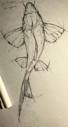 a pencil drawing of a fish on paper