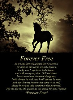 a black and white photo with the words forever free on it, in front of a silhouette of a horse