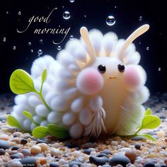 a small white animal sitting on top of gravel next to rocks and water bubbles with the words good morning written above it