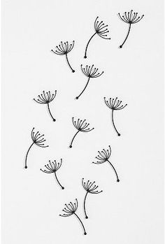 black and white drawing of dandelions on a white paper with watercolor pencils