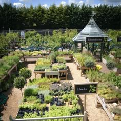 a garden filled with lots of different types of trees and plants in it's own area