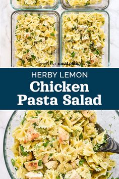 chicken pasta salad with herbs and parsley in four separate glass casserole dishes