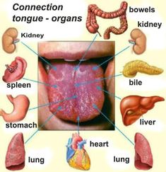 Tcm Traditional Chinese Medicine, Human Body Organs, Reflexology Chart, Body Organs, Alternative Health, The Human Body