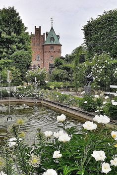 white flowers are in the foreground with a castle in the background